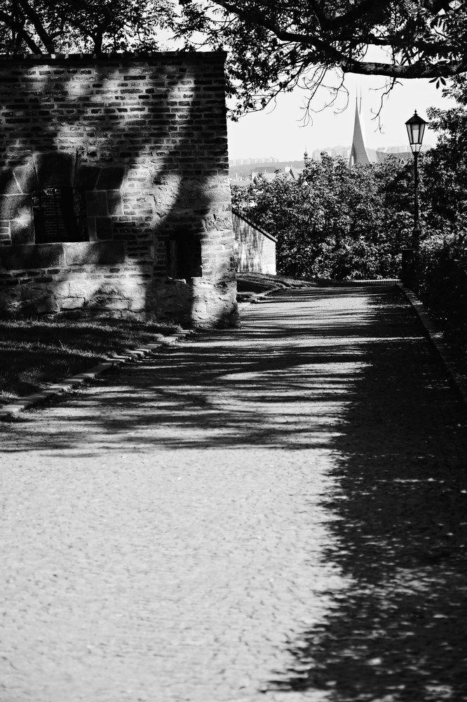 Photograph by Monika Sandr