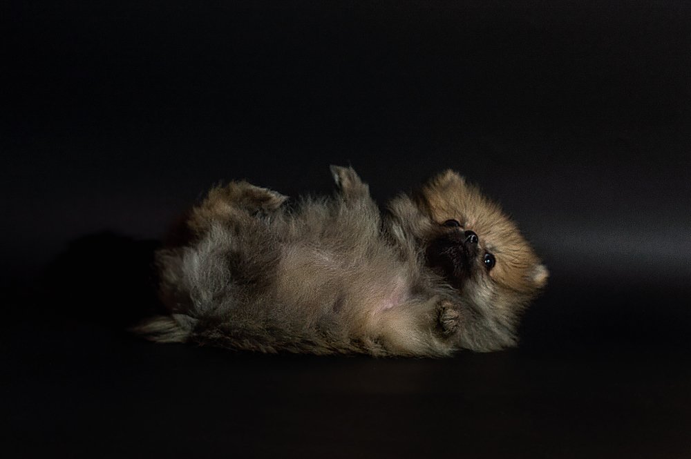 Photograph by Анна Яблоновская