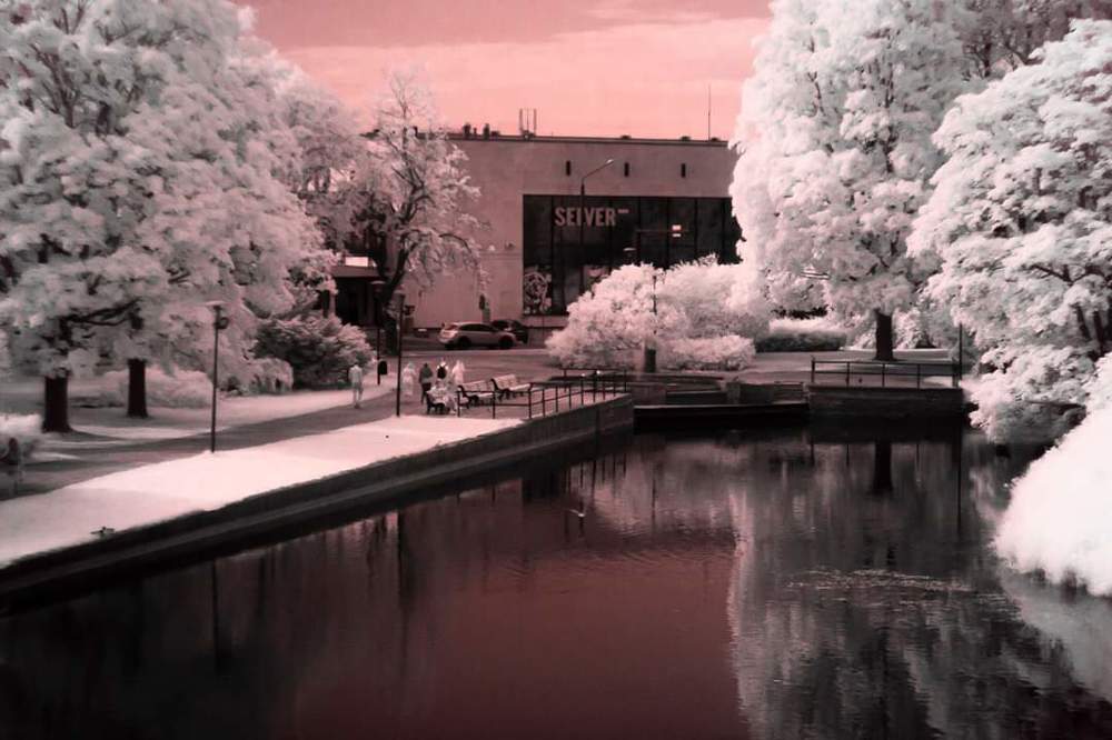 Photograph by Алексей Стрижаков