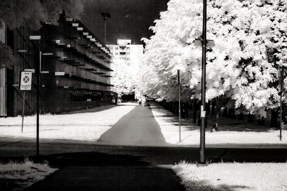 Photograph by Алексей Стрижаков