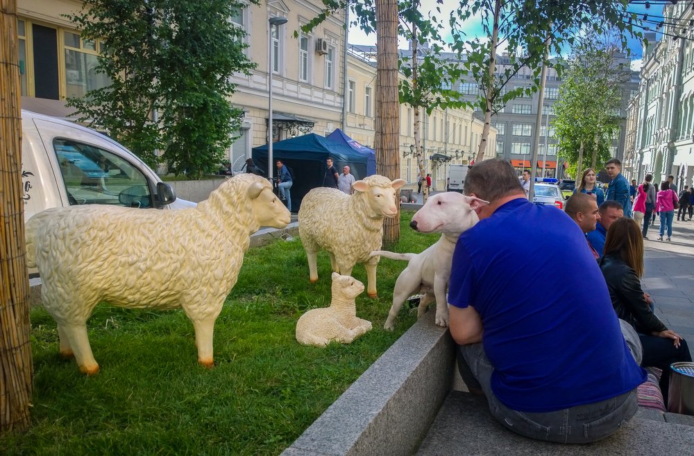 Photograph by Владимир Супонев
