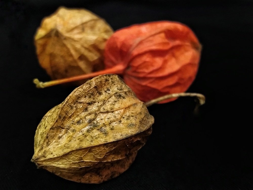 Фотография автора Наталья Алексеева