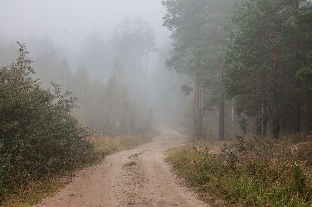 Photograph by Галина Шеватурина