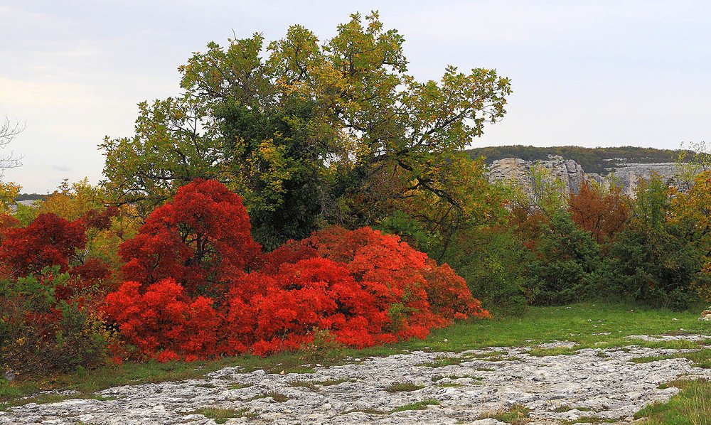 Photograph by Михаил Баевский