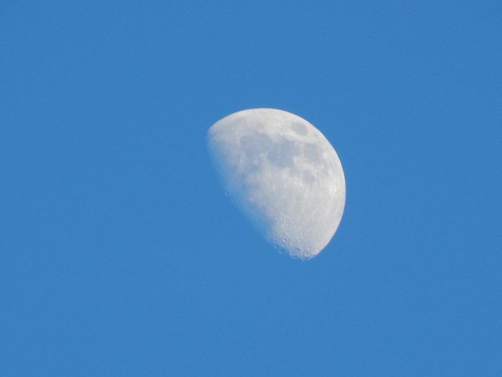 Photograph by Алена