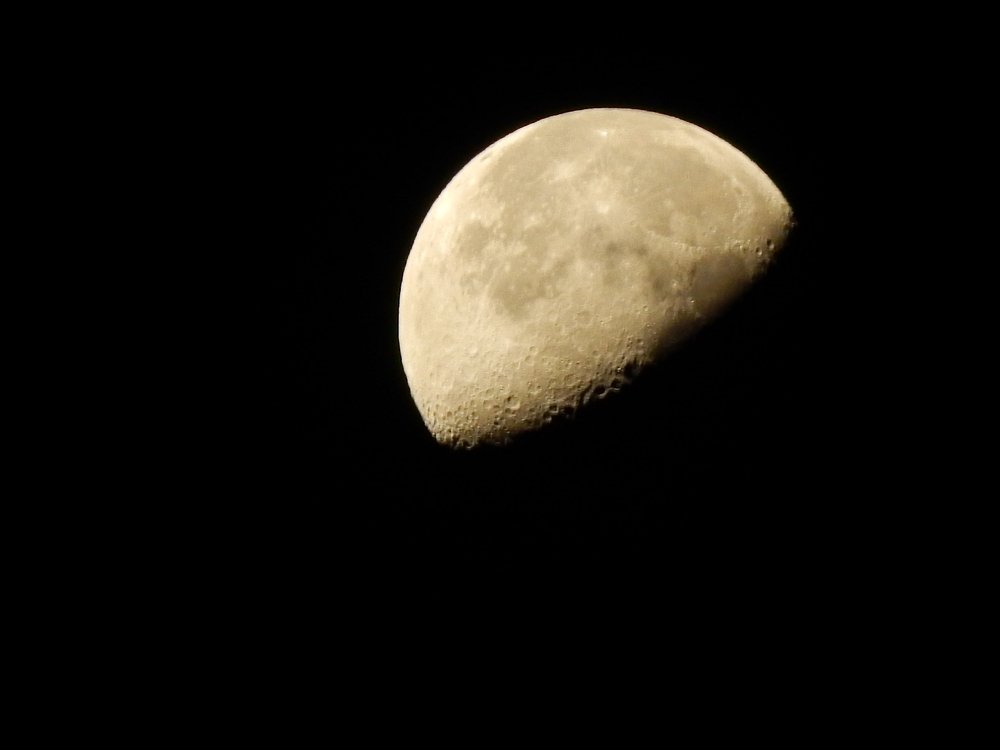 Photograph by Алена