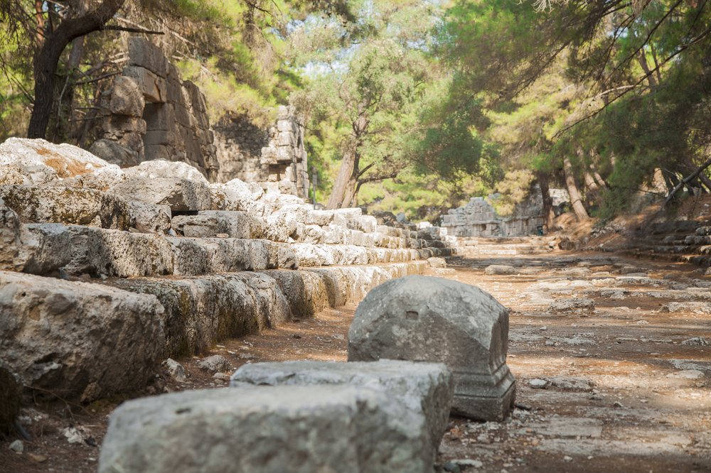 Photograph by Галина Шеватурина