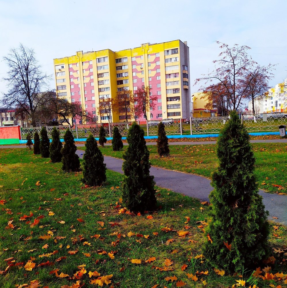 Photograph by Алла Осипенко