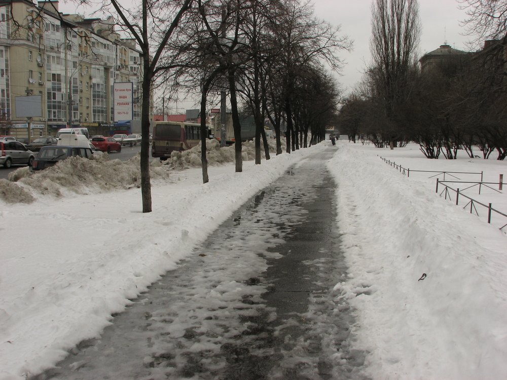 Фотография автора Владимир Брызгунов