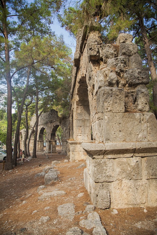 Photograph by Галина Шеватурина