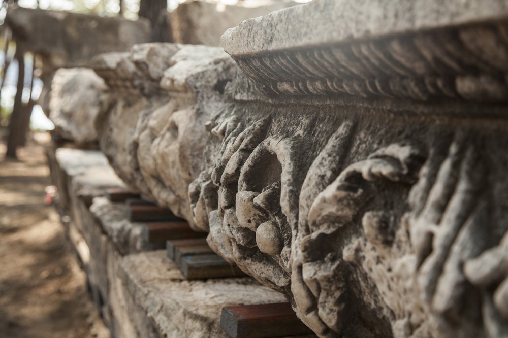 Photograph by Галина Шеватурина