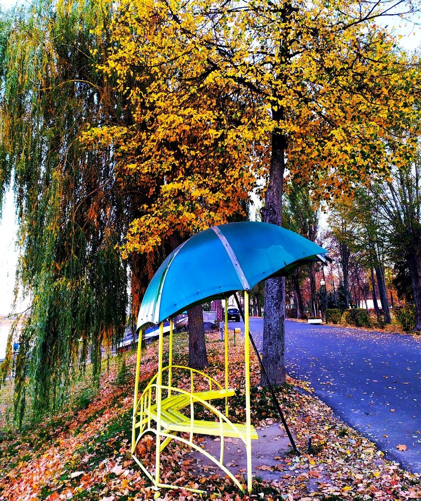 Photograph by Алла Осипенко