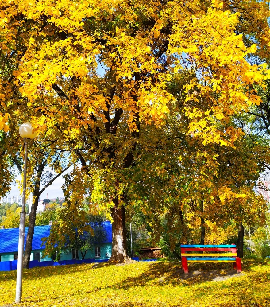 Photograph by Алла Осипенко