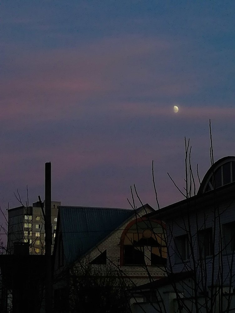 Photograph by Александр Крицын