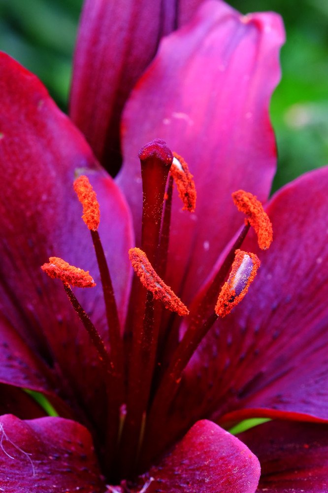 Photograph by Евгений Шувалов