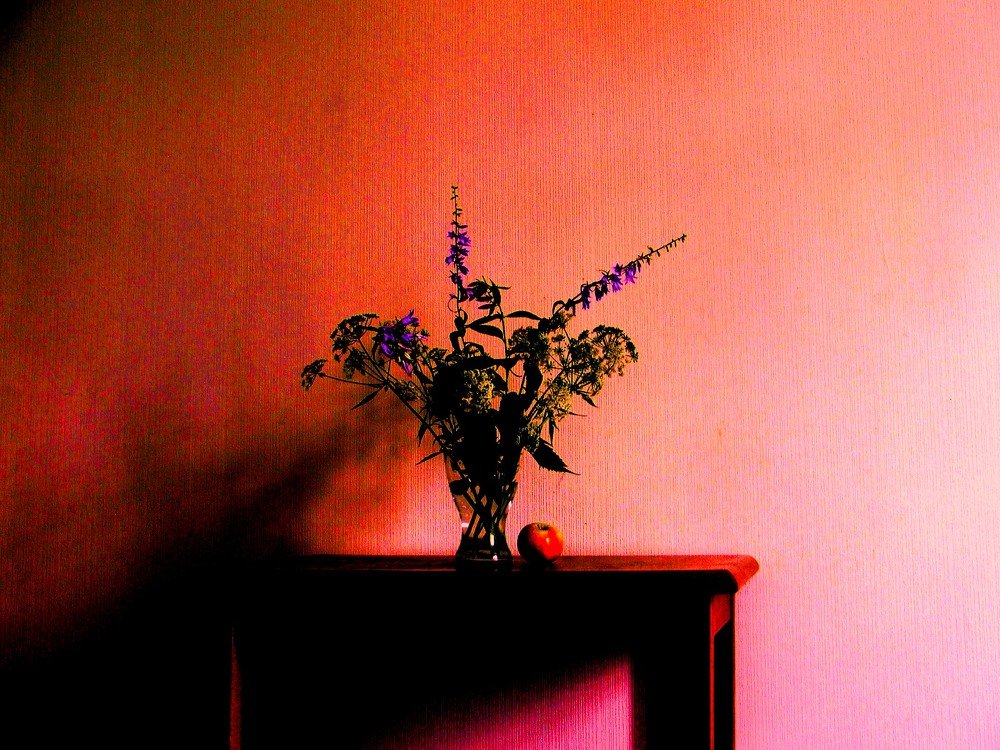 Фотография автора Владислава Андрюнина