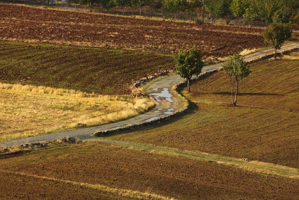 Photograph by omid zarei