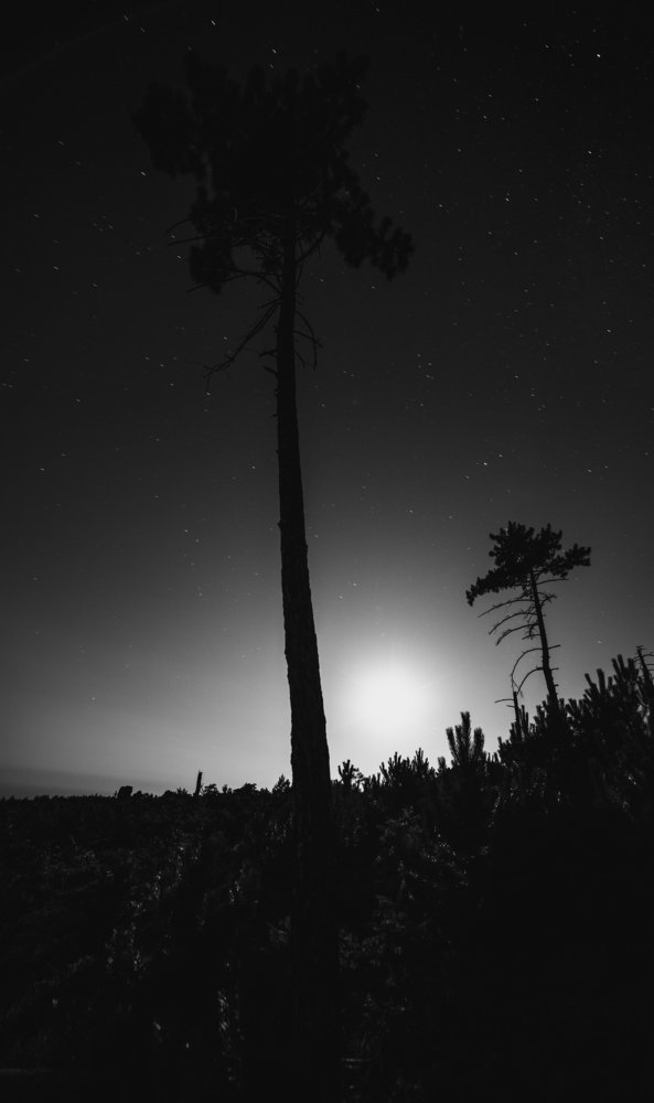 Photograph by Артём Корнев