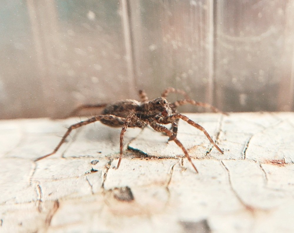 Photograph by Анна Байкина