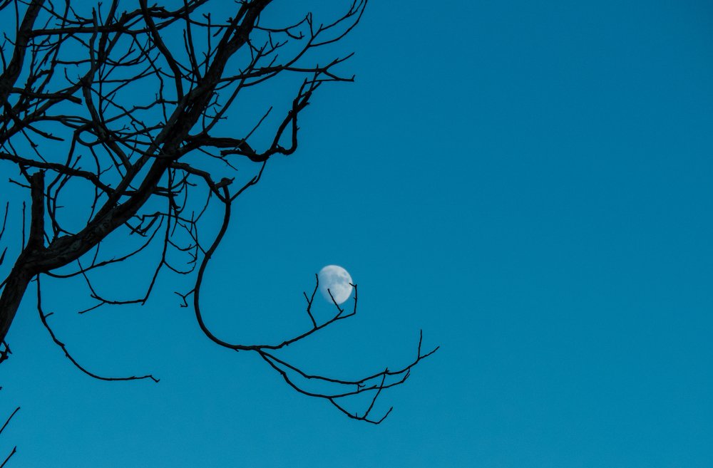 Photograph by Bahrami Ashkan