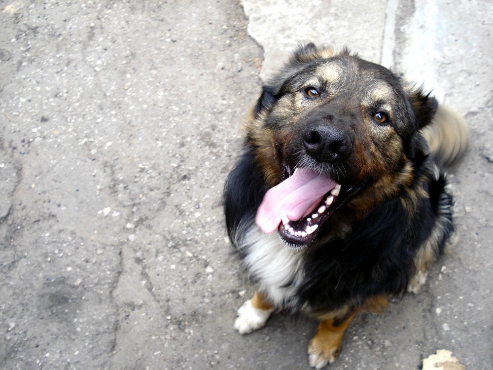 Photograph by Федоренко Элеонора