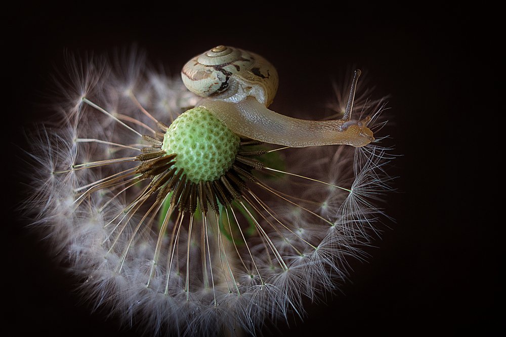 Photograph by Киркиш Ирина