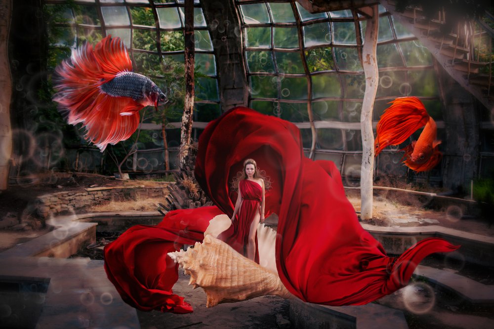 Photograph by Татьяна Пустовойтова