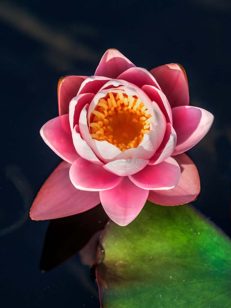 Photograph by Sıtkı Aksoy