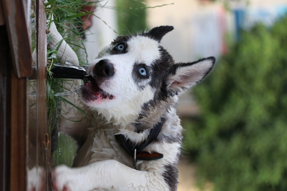 Photograph by Арби Макаев