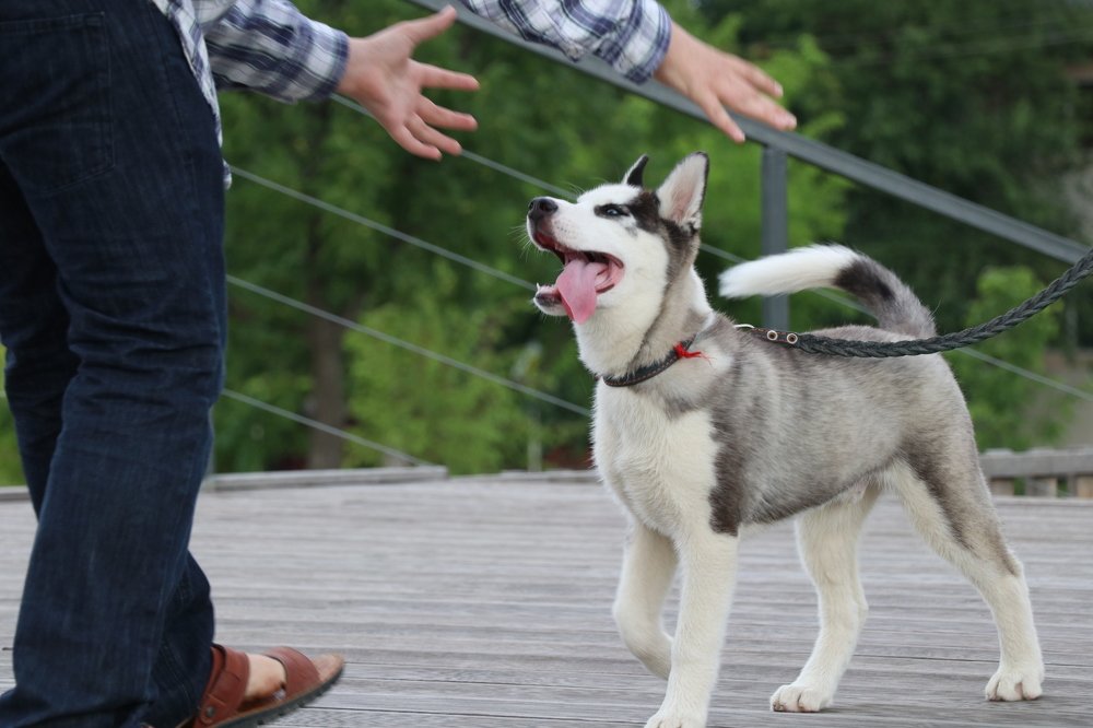 Photograph by Арби Макаев