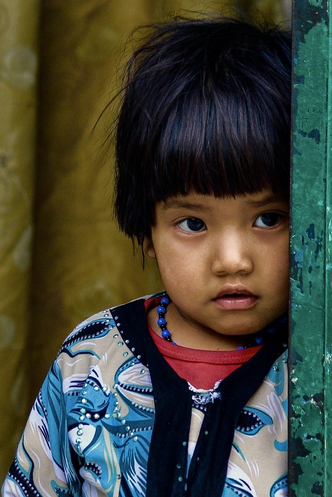 Фотография автора Elyas Iranmanesh