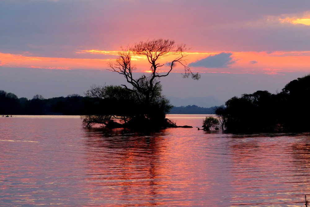 Фотография автора Ольга Завадилика