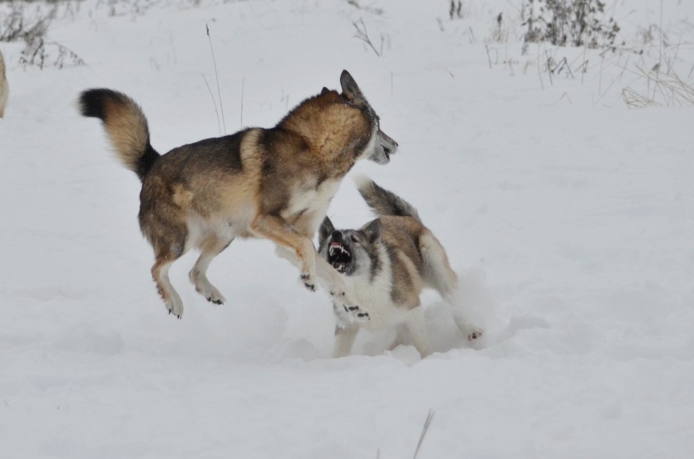 отлети от меня))