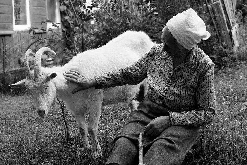 Photograph by Маргарита Денисенко