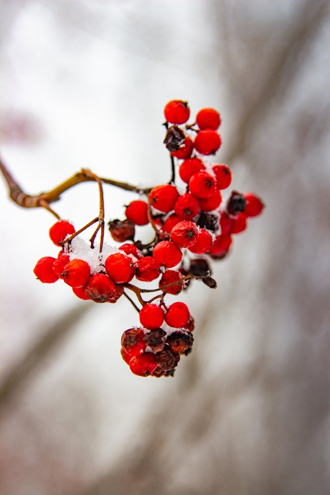 Photograph by Екатерина Бочарова