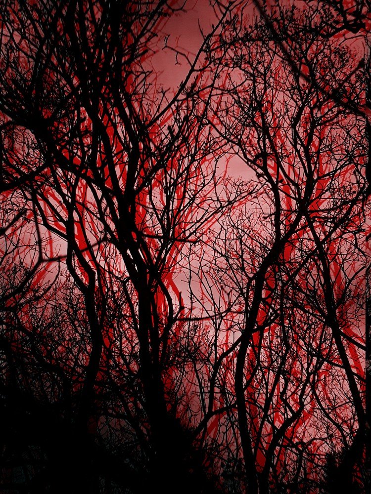 Photograph by Mikolaj Jackiewicz