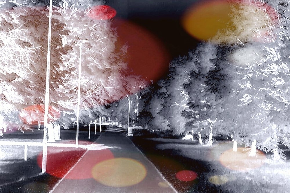 Photograph by Алексей Стрижаков