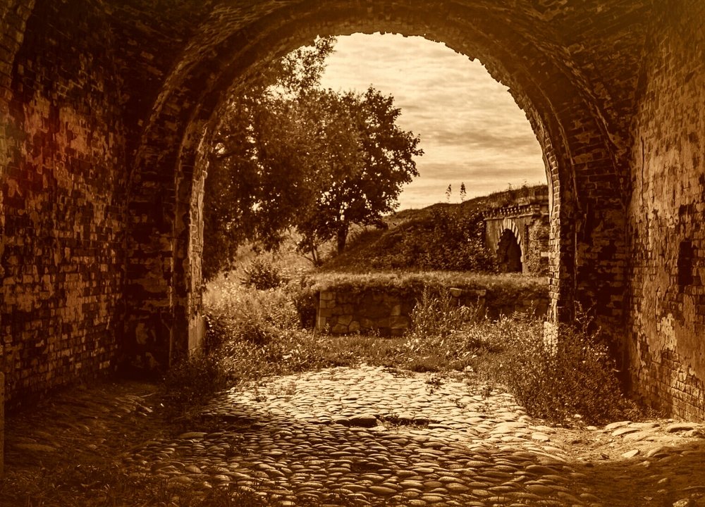 Photograph by Алексей Стрижаков