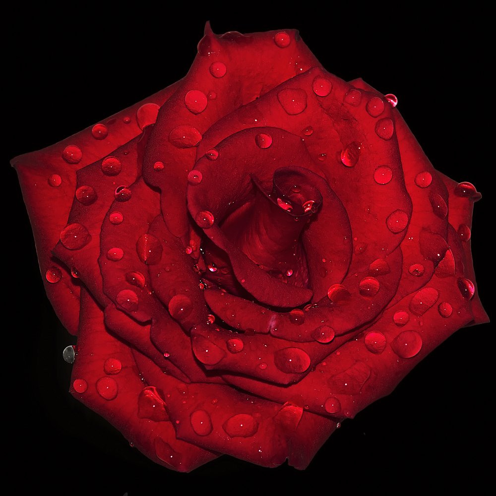 Фотография автора NeCoTi ChonTin