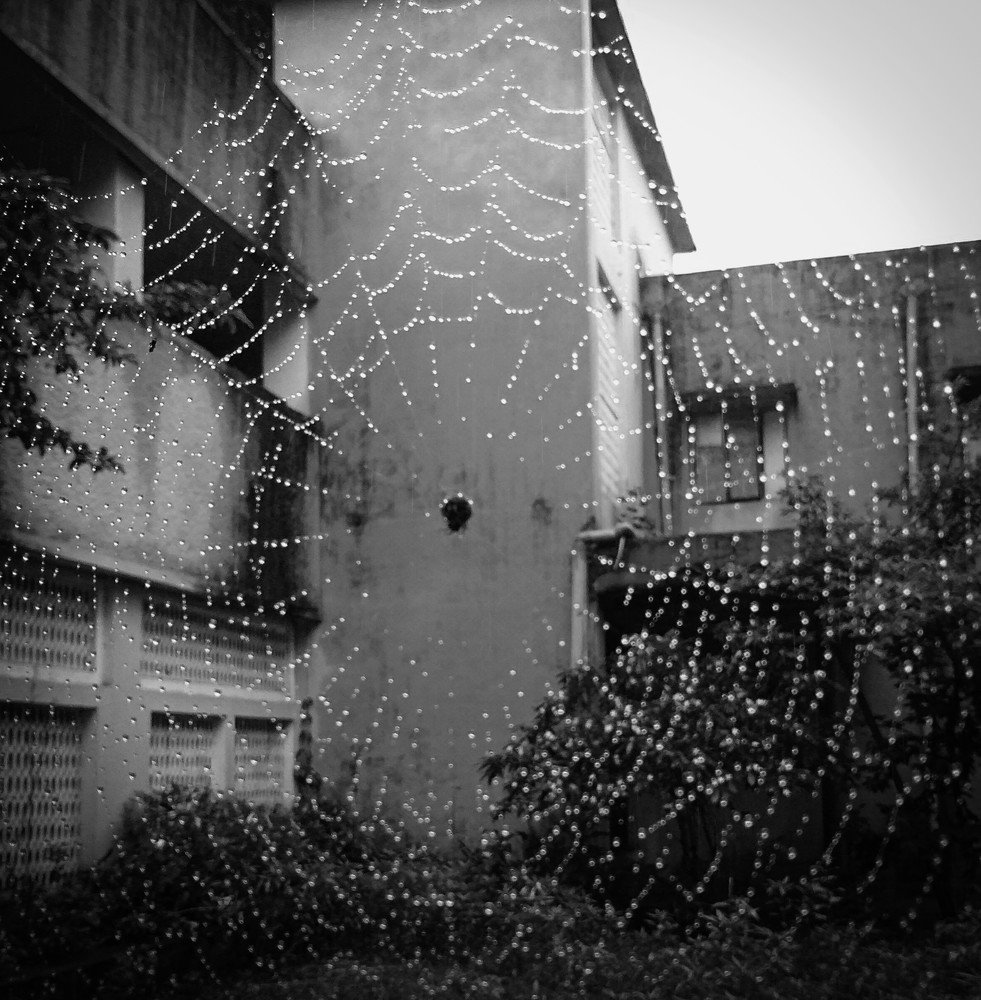 Photograph by LAKHAN YADAV