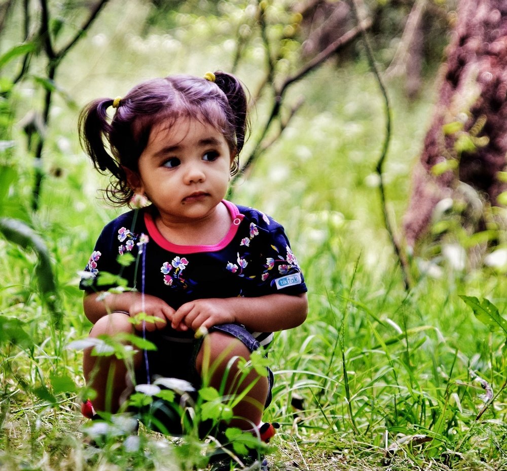 Photograph by Mohammad Hadi Riahi