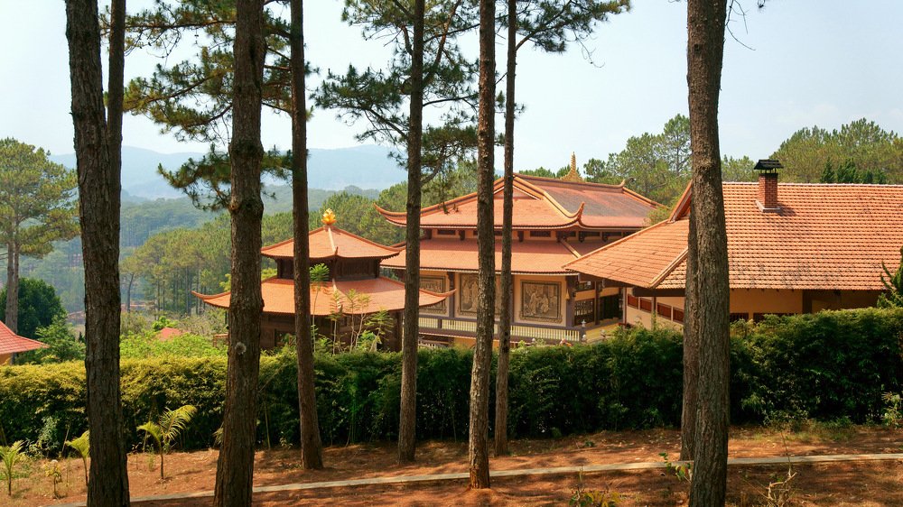 Photograph by Людмила Ефремова