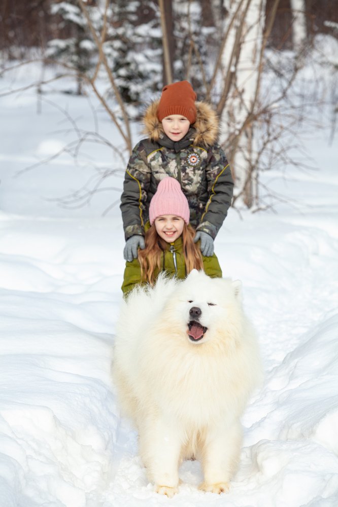 Photograph by Андрей Скат