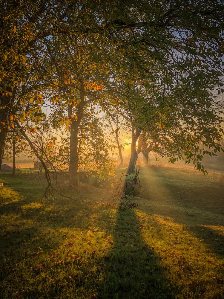 Let’s be the Light