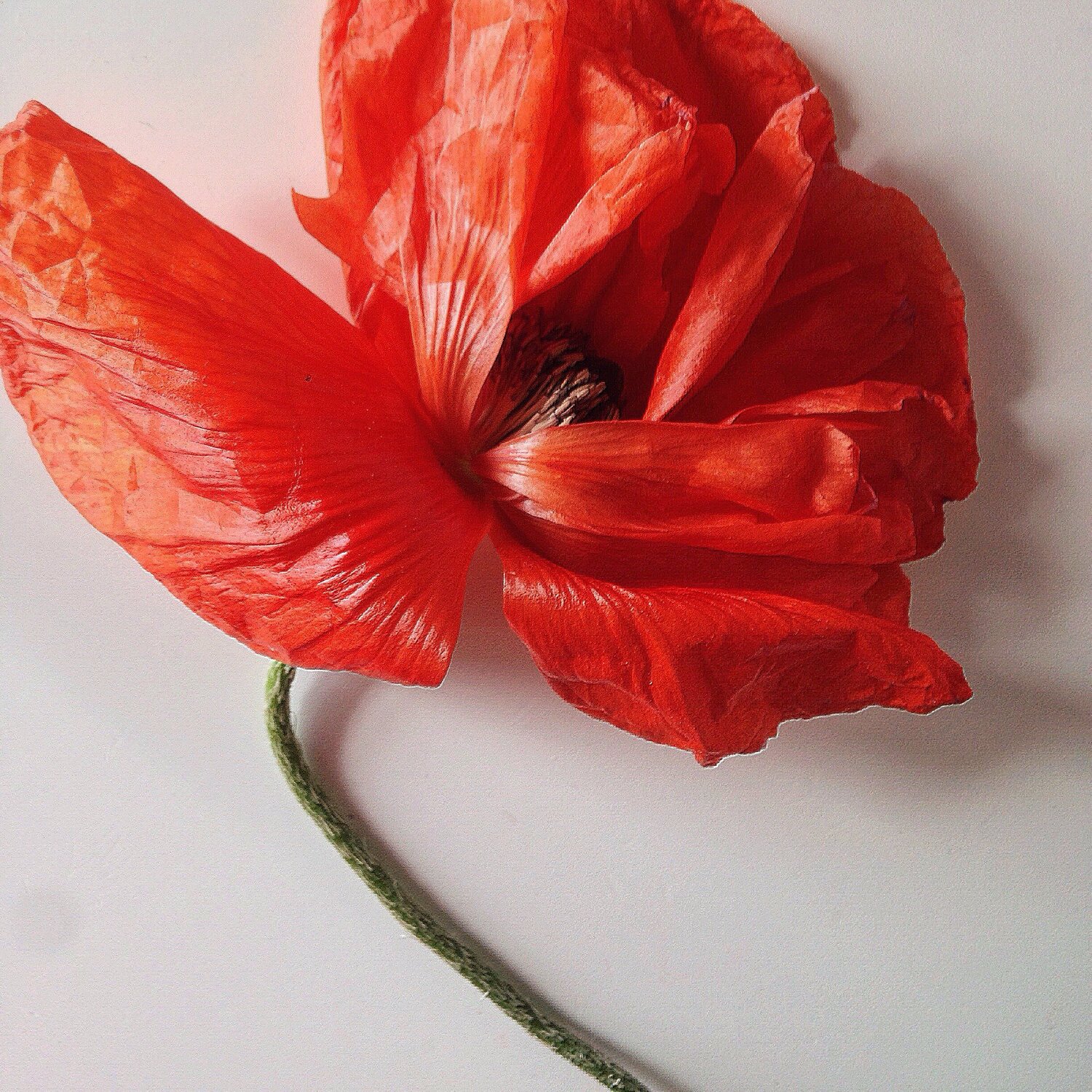 Photo #3854280