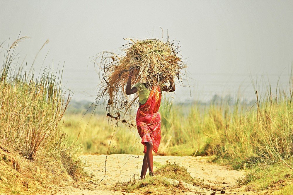 Фотография автора Ashutosh Pal