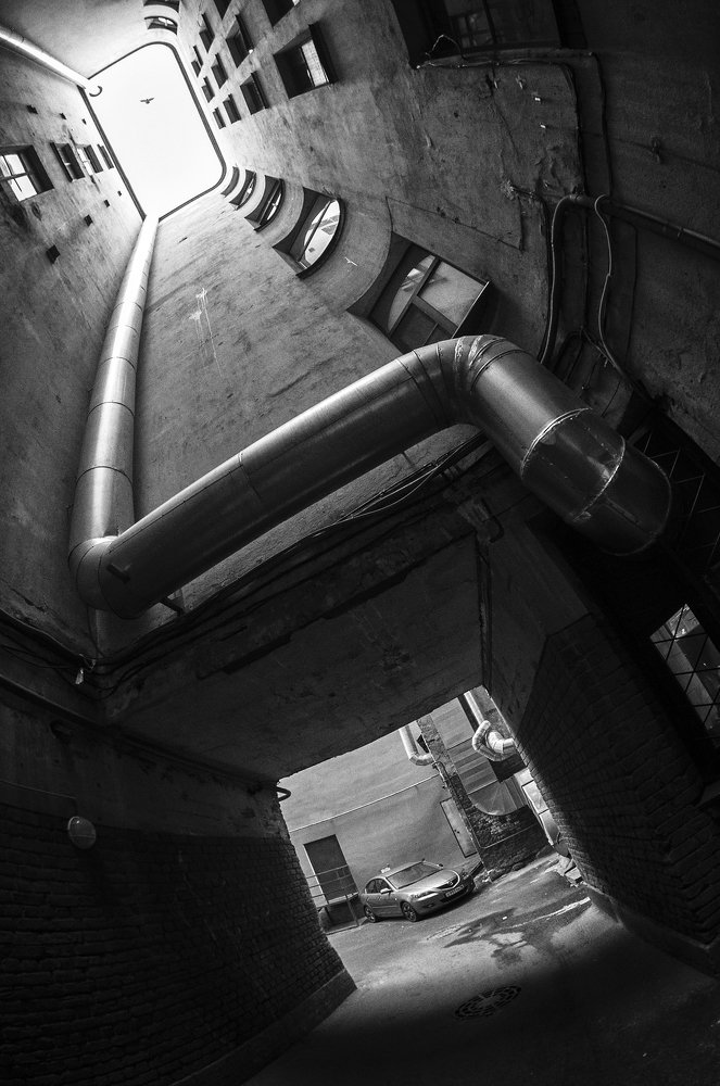 Photograph by Владимир Пальчик