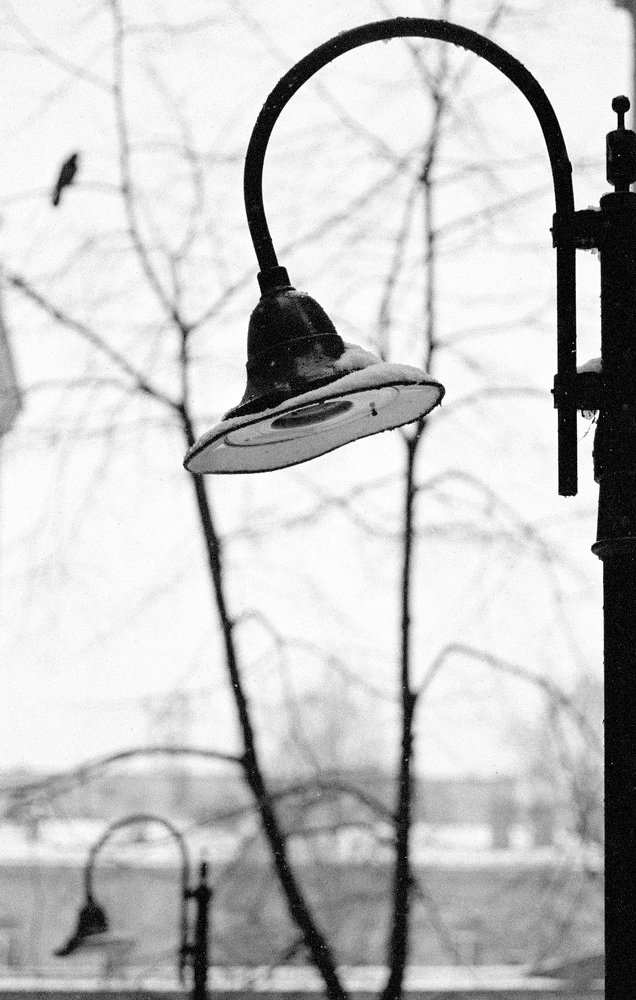 Photograph by Владимир Пальчик