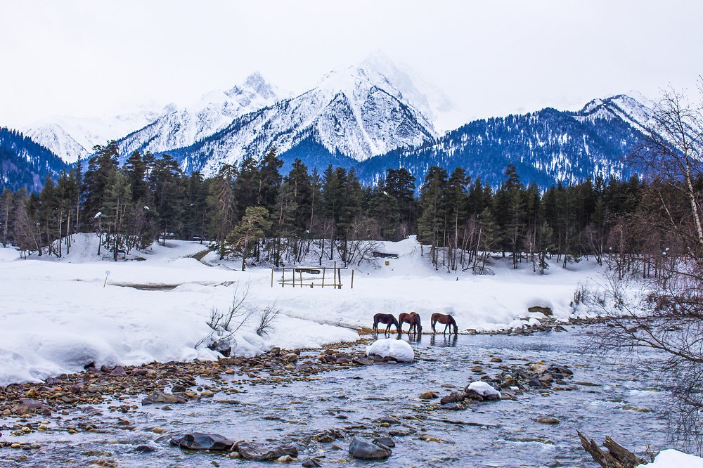 Photograph by Юрий Карпенко