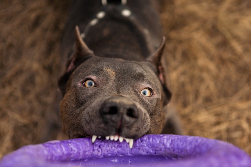 Photograph by Gerasimova Darina